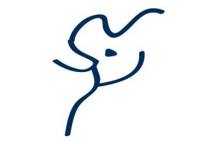 Trofeos de gimnasia