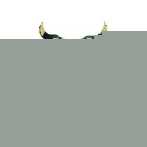 Trofeos del zodiaco TAURO