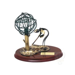 Trofeos para LABRADOR