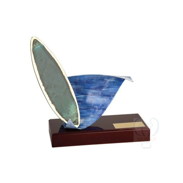 Trofeos de surf