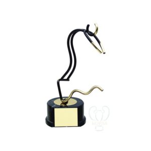 Trofeos para natacíon