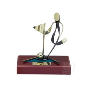 Trofeos para fútbol