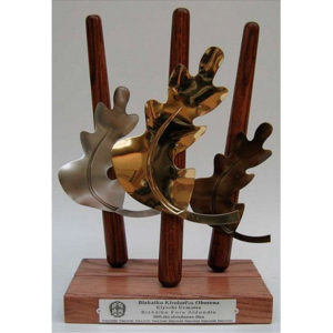 Trofeos y trabajos de diseños especiales