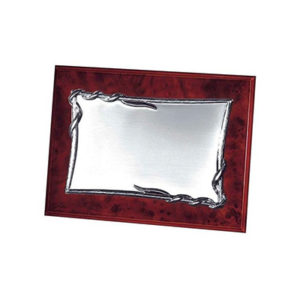 Placas Básicas